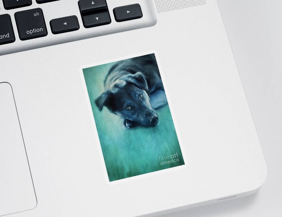 Dog Sticker featuring the photograph Winter Dog by Priska Wettstein