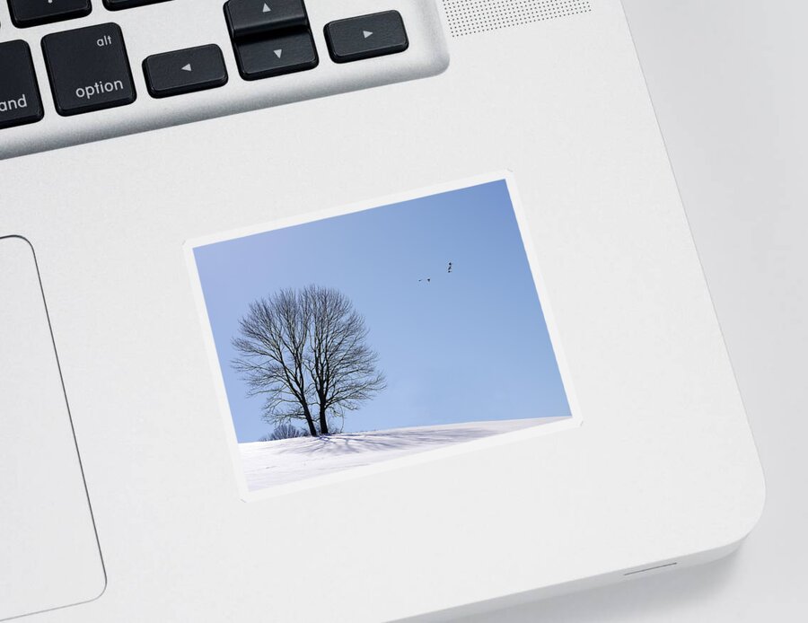 Winter Sticker featuring the photograph Winter - Fly Past by Richard Reeve