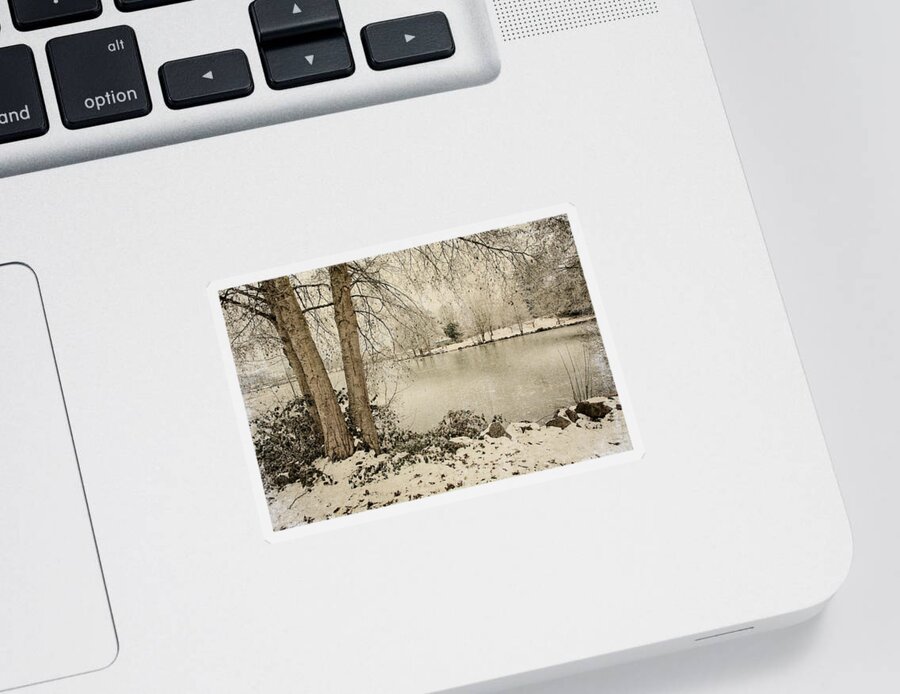 Winter Sticker featuring the photograph Winter Freeze by Bonnie Bruno