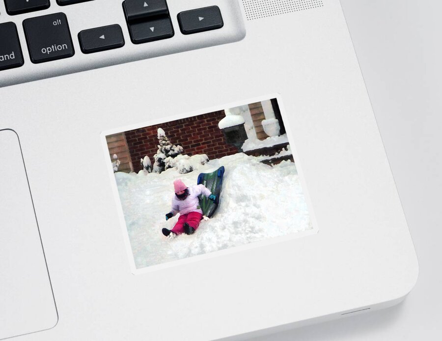 Winter Sticker featuring the photograph Winter Fun by Susan Savad
