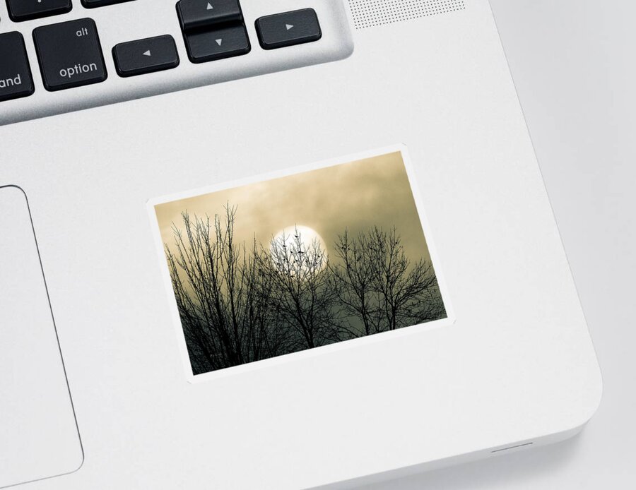 #faatoppicks Sticker featuring the photograph Winter Into Spring by Bob Orsillo