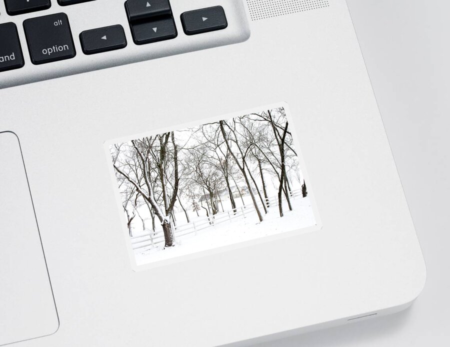 Winter Sticker featuring the photograph Winter on the Farm by Crystal Nederman