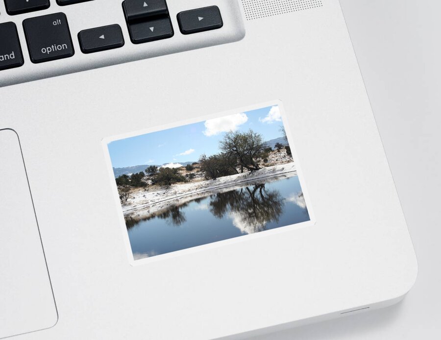 Snow Sticker featuring the photograph Winter Reflections by David S Reynolds