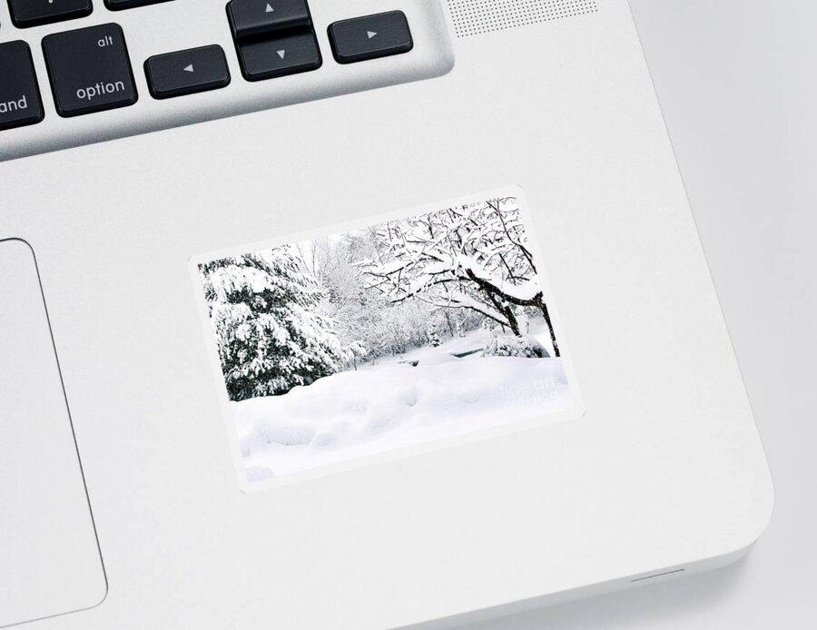 Winter Sticker featuring the photograph Winter Scene by Gwen Gibson