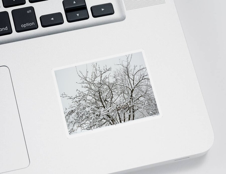 Winter Sticker featuring the photograph Winter Snow by Holden The Moment
