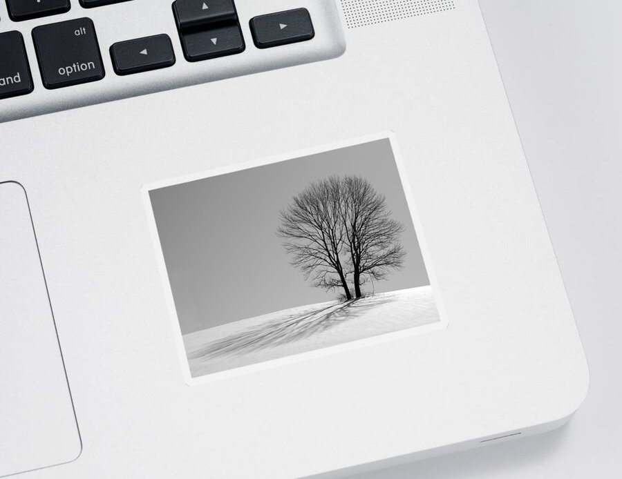 Winter Sticker featuring the photograph Winter - Snow Trees 2 in Mono by Richard Reeve