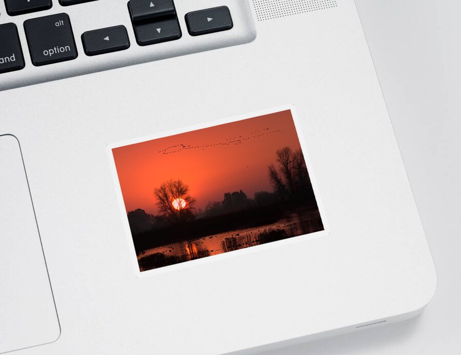 Wetlands Sticker featuring the photograph Winter Sunrise by Kathleen Bishop