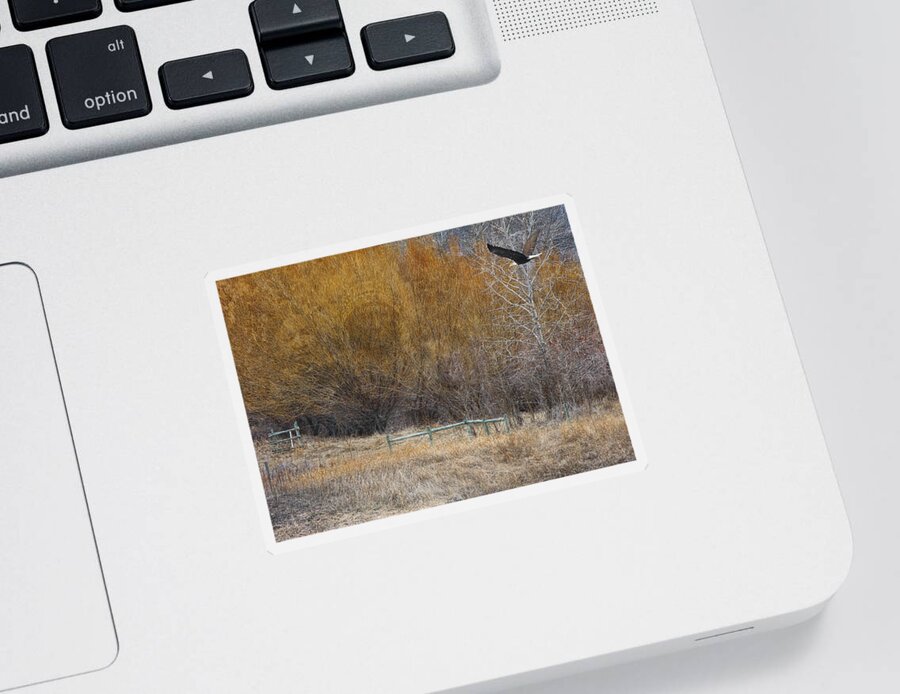 Landscape Sticker featuring the photograph Winter Thaw by Ed Hall