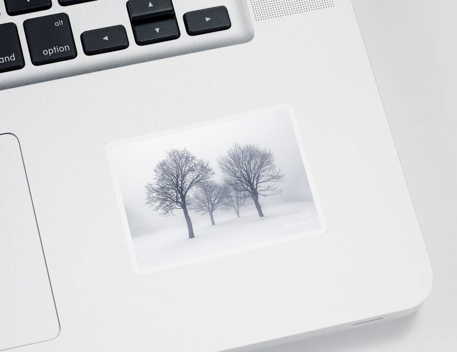Trees Sticker featuring the photograph Winter trees in fog 10 by Elena Elisseeva