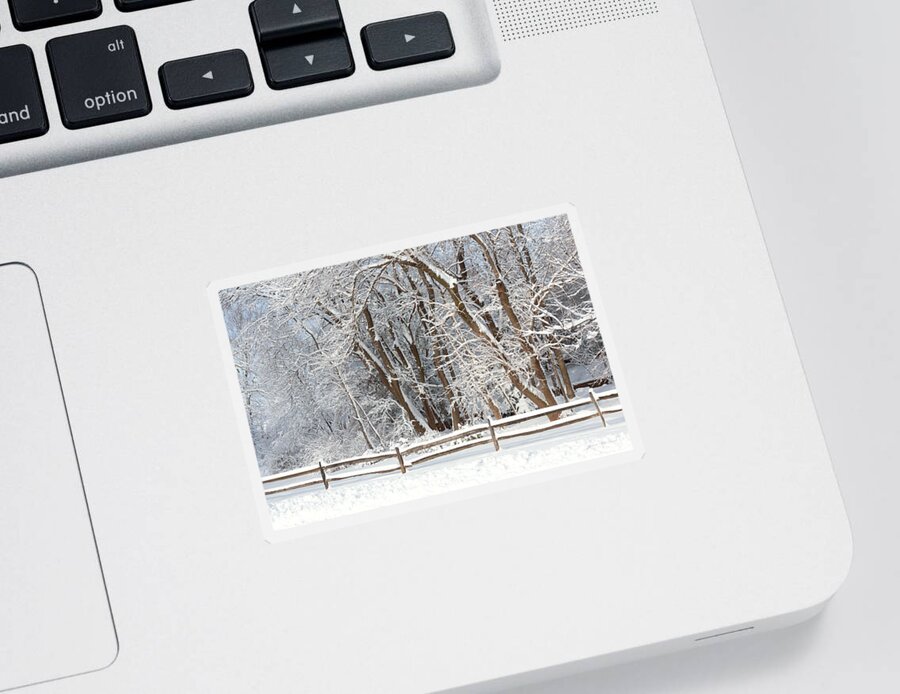Snow Sticker featuring the photograph Winter - Westfield NJ - Snow Day by Mike Savad