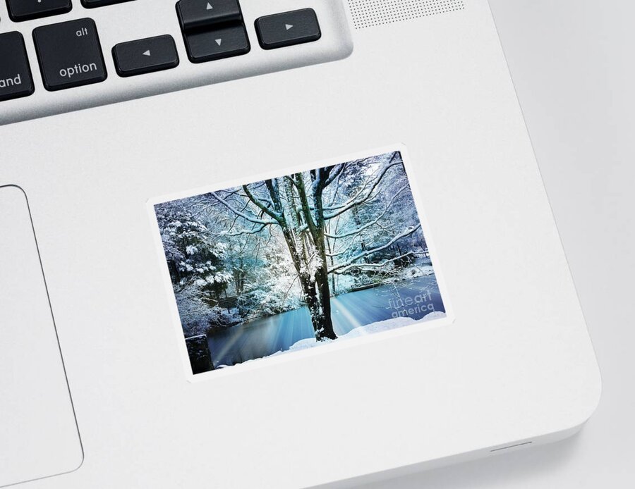 Snow Sticker featuring the photograph Winter Wonderland by Judy Palkimas