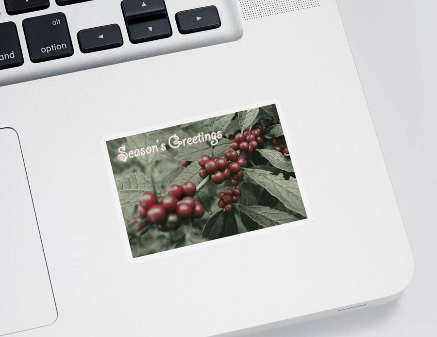 Winter Sticker featuring the photograph Winterberry Greetings by Photographic Arts And Design Studio