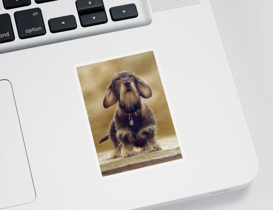 Dog Paintings Sticker featuring the painting Wire Haired Dachshund by John Silver