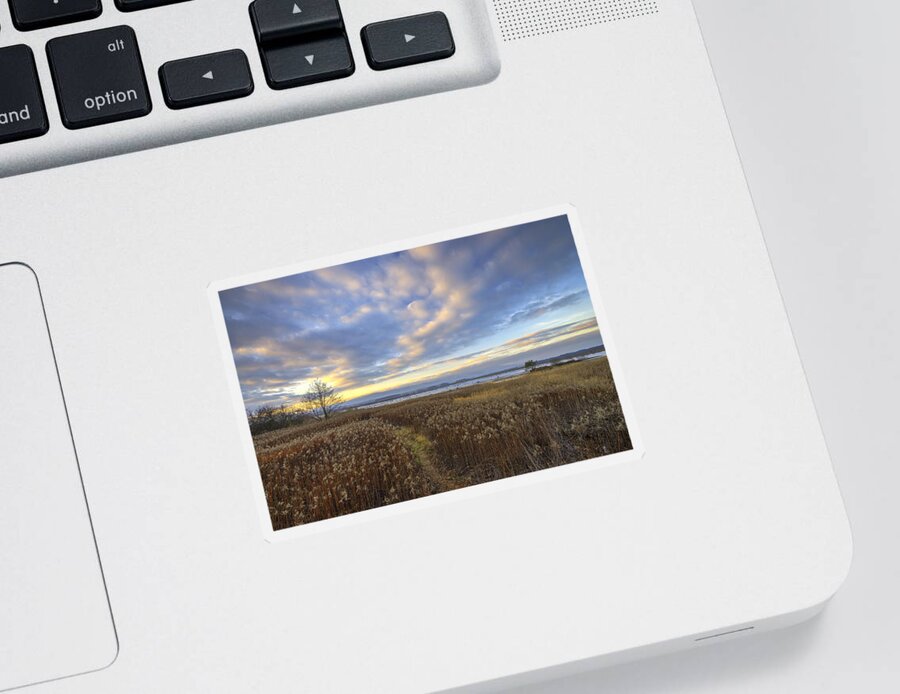 Nature Sticker featuring the photograph Wonderful sunset by Ivan Slosar