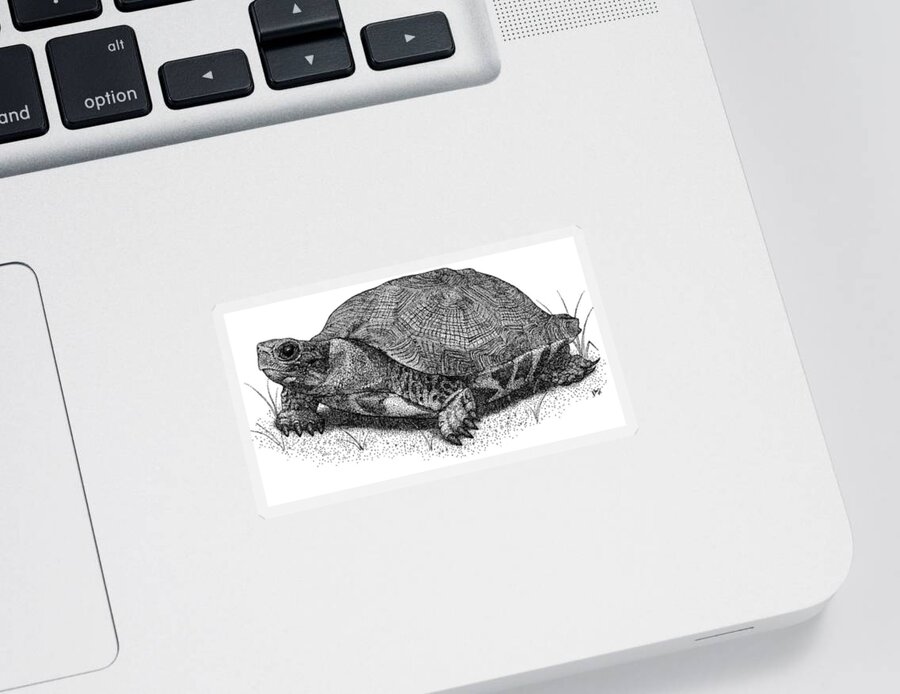 Wood Turtle Sticker featuring the photograph Wood Turtle by Roger Hall