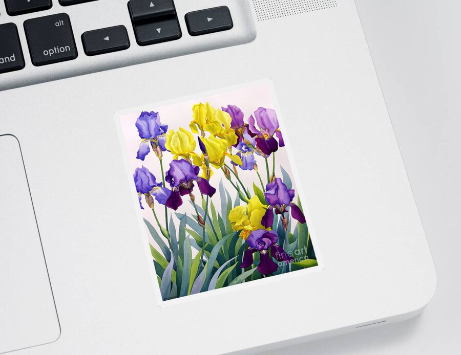 Irises Sticker featuring the painting Yellow and Purple Irises by Christopher Ryland