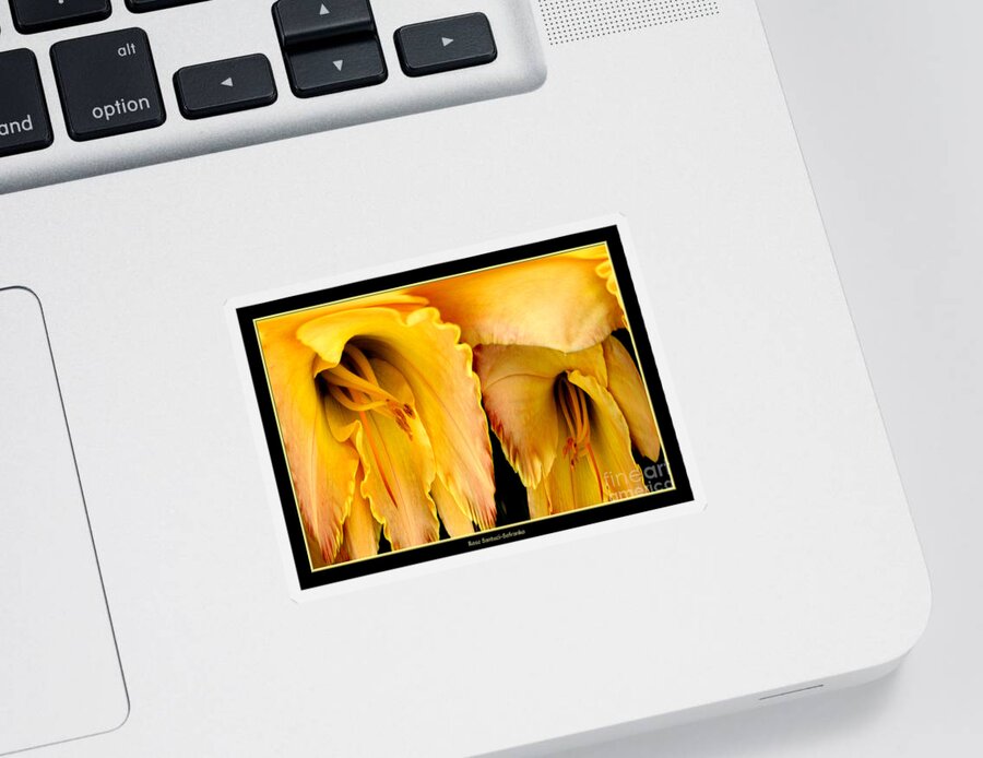 Daylily Sticker featuring the photograph Yellow Daylily Abstract by Rose Santuci-Sofranko