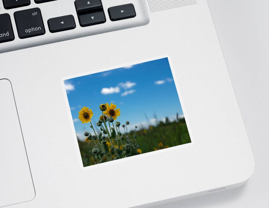 Yellow Sticker featuring the photograph Yellow Flower on Blue Sky by Photographic Arts And Design Studio