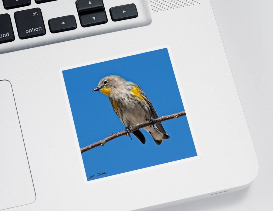 Adult Sticker featuring the photograph Yellow-Rumped Warbler by Jeff Goulden