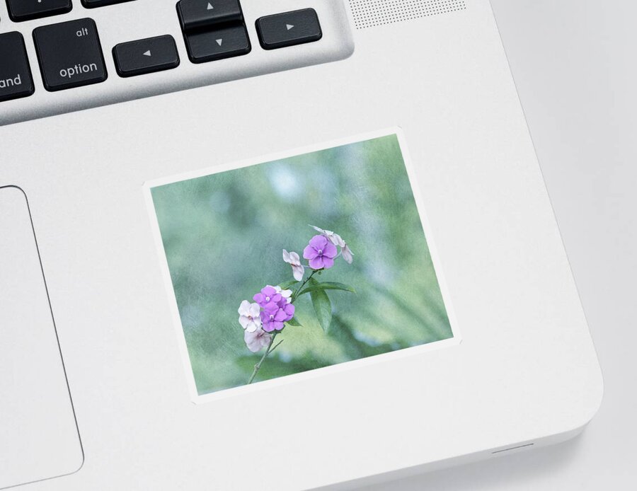Flower Sticker featuring the photograph Yesterday Today and Tomorrow by Kim Hojnacki