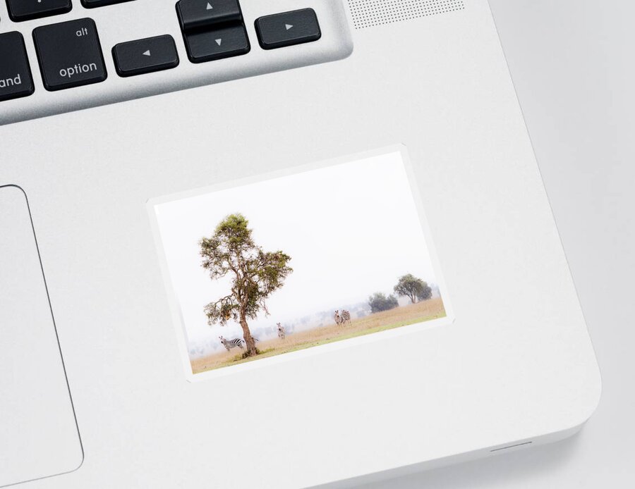 Africa Sticker featuring the photograph Zebra In The Mist by Mike Gaudaur