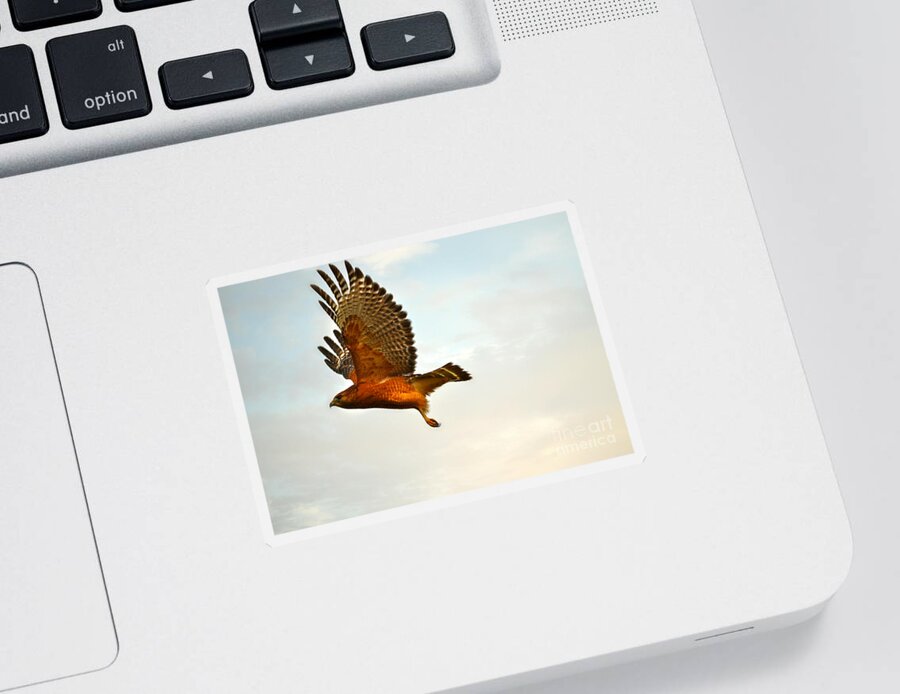 Landscape Sticker featuring the photograph Majestic Red Shoulder Hawk by Peggy Franz