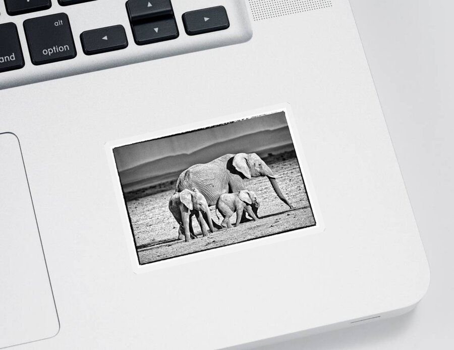 Africa Sticker featuring the photograph African Elephant in the Masai Mara #2 by Perla Copernik