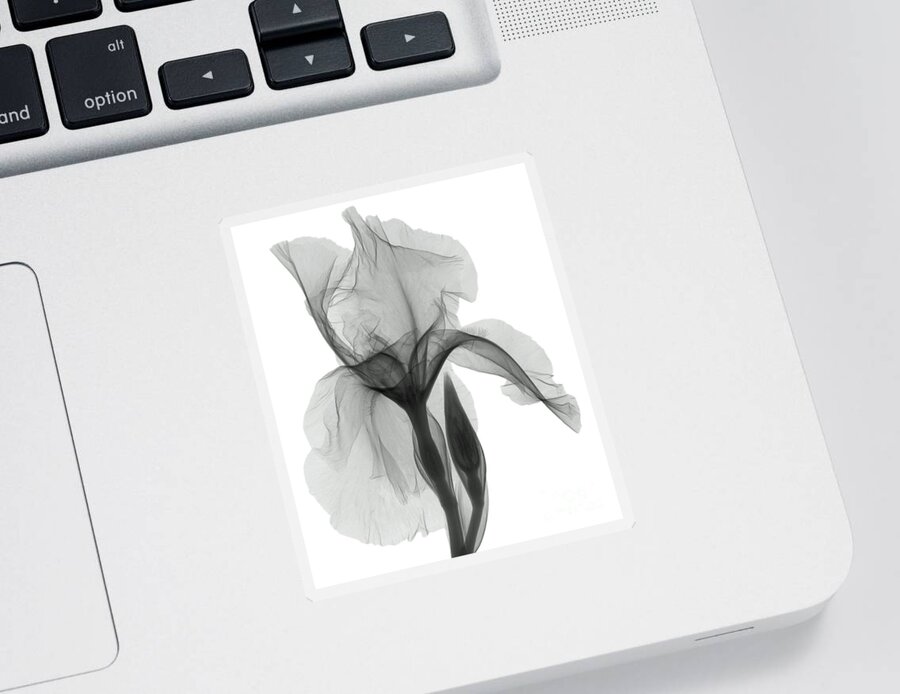Xray Sticker featuring the photograph An X-ray Of An Iris Flower by Ted Kinsman