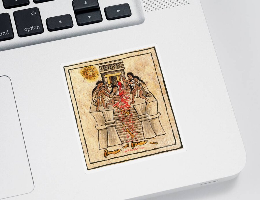 Aztec Sticker featuring the photograph Aztec Human Sacrifice Codex #2 by Photo Researchers