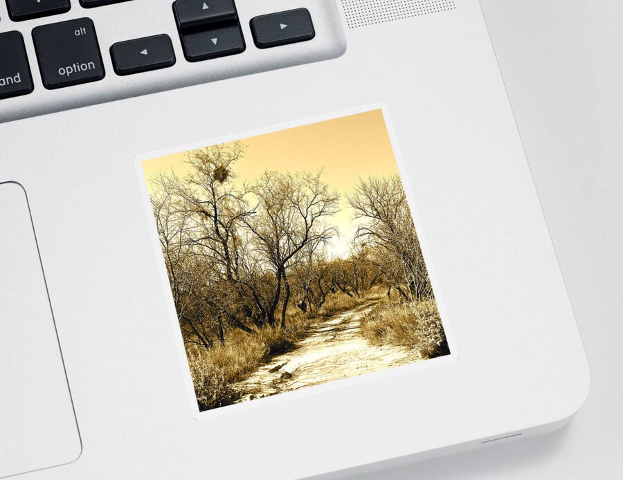 Sepia Sticker featuring the photograph Desert Trail by Kume Bryant