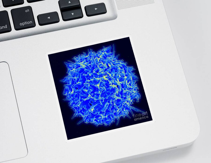 Biology Sticker featuring the photograph Healthy Human T Cell, Sem by Science Source