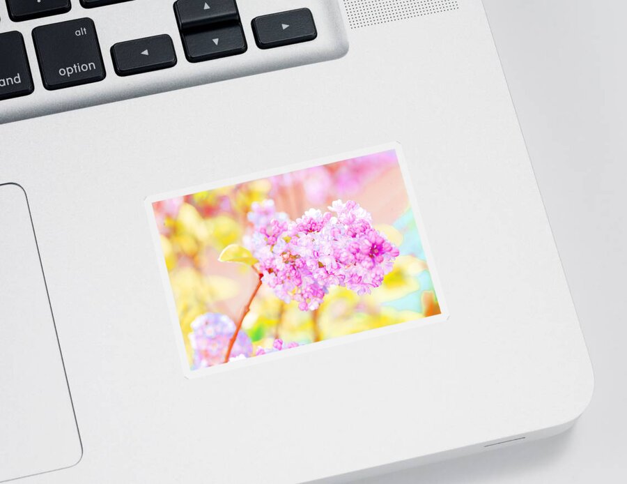 Lilacs Sticker featuring the photograph O Happy Day #1 by Bonnie Bruno