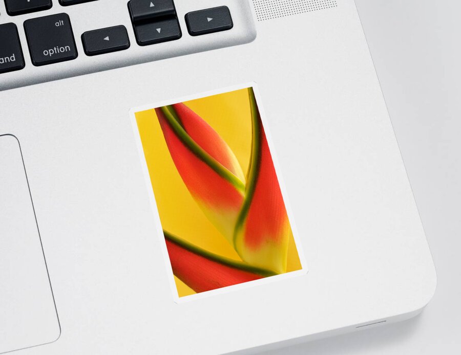 Flowers Sticker featuring the photograph Photograph of a Lobster Claws Heliconia #2 by Perla Copernik