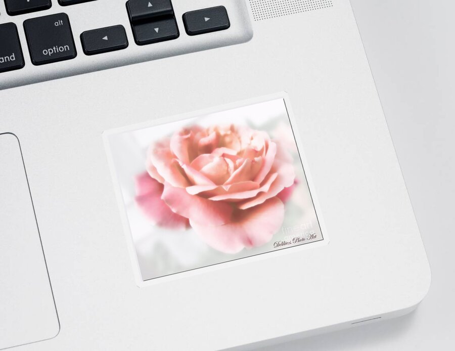 Flowers Sticker featuring the photograph Romantic Dreams by Debbie Portwood