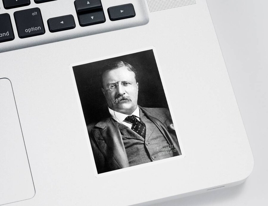 History Sticker featuring the photograph Theodore Roosevelt, 26th American #1 by Science Source