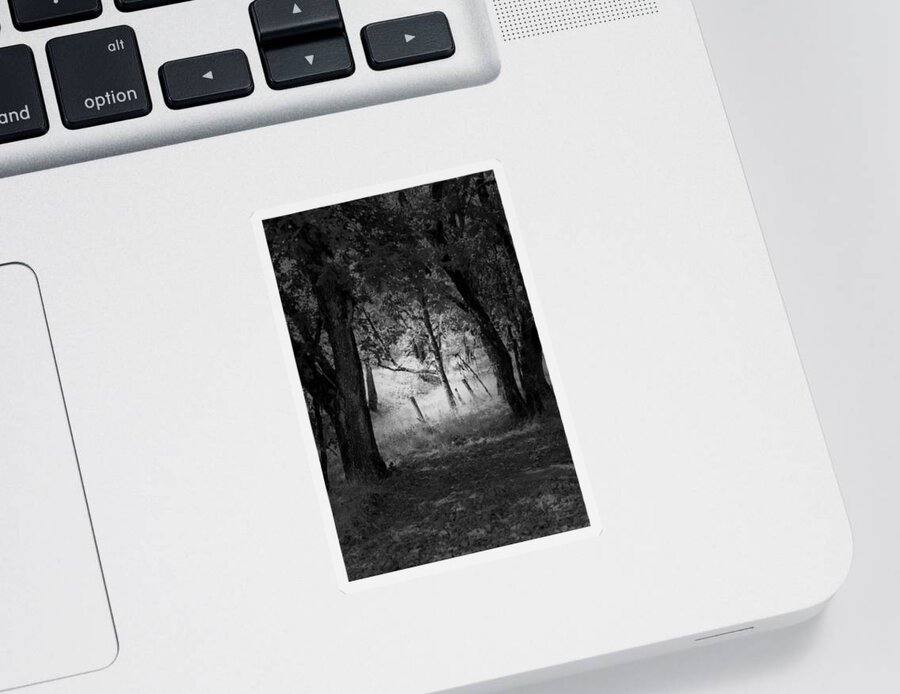 Landscape Sticker featuring the photograph Through the Trees #1 by Kathleen Grace
