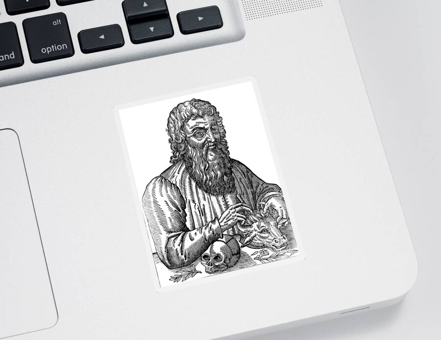 History Sticker featuring the photograph Hippocrates, Greek Physician, Father #2 by Science Source