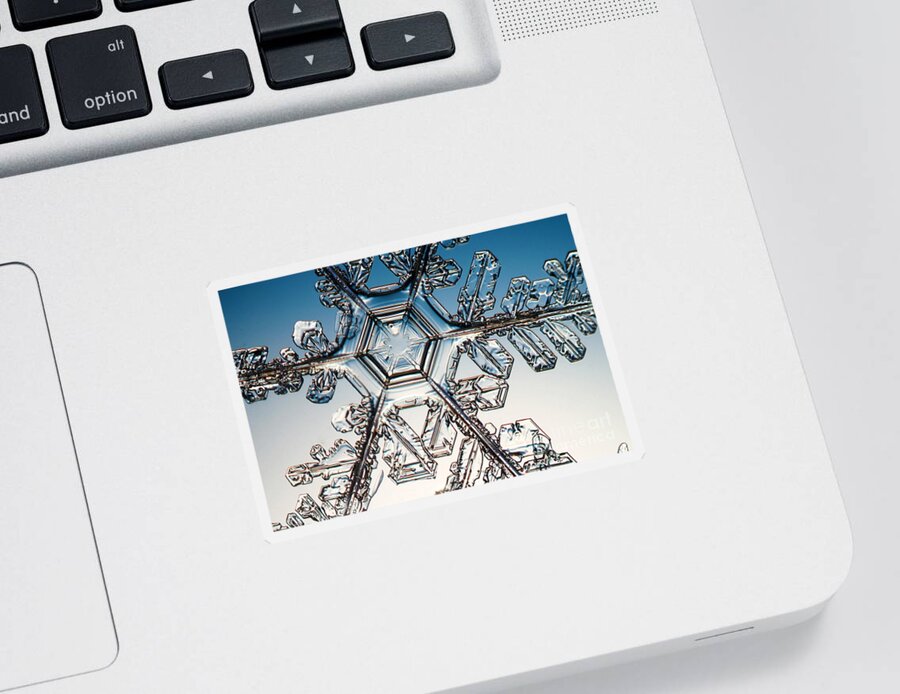 Snowflake Sticker featuring the photograph Snowflake #75 by Ted Kinsman