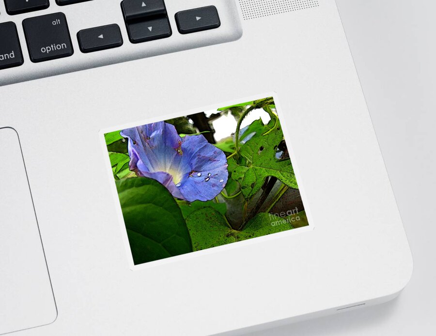Botanical Sticker featuring the digital art Aging Morning Glory by Debbie Portwood