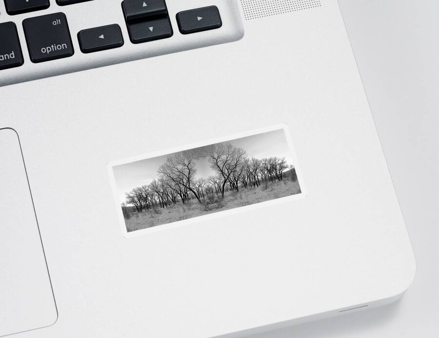 Landscape Sticker featuring the photograph Altered Series - Bare Double by Kathleen Grace
