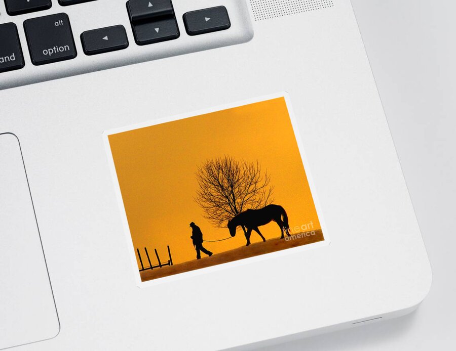 Horse Sticker featuring the photograph At The End Of The Day by Terry Doyle