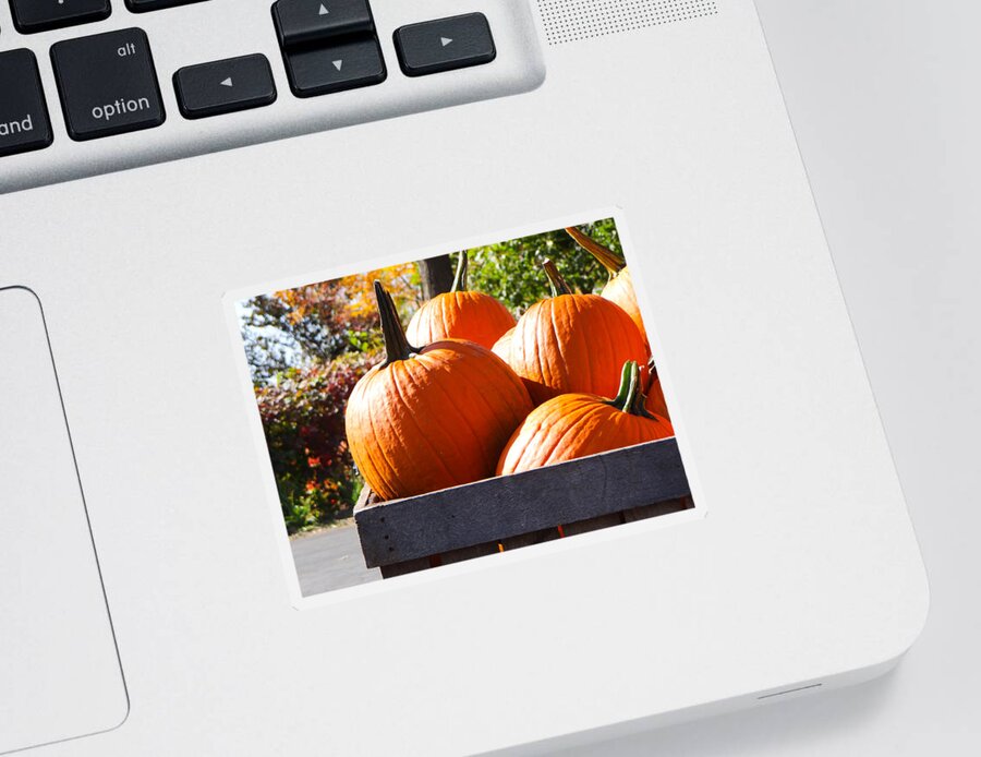 Edwards Apple Orchard Sticker featuring the photograph Autumn Harvest by Julia Wilcox