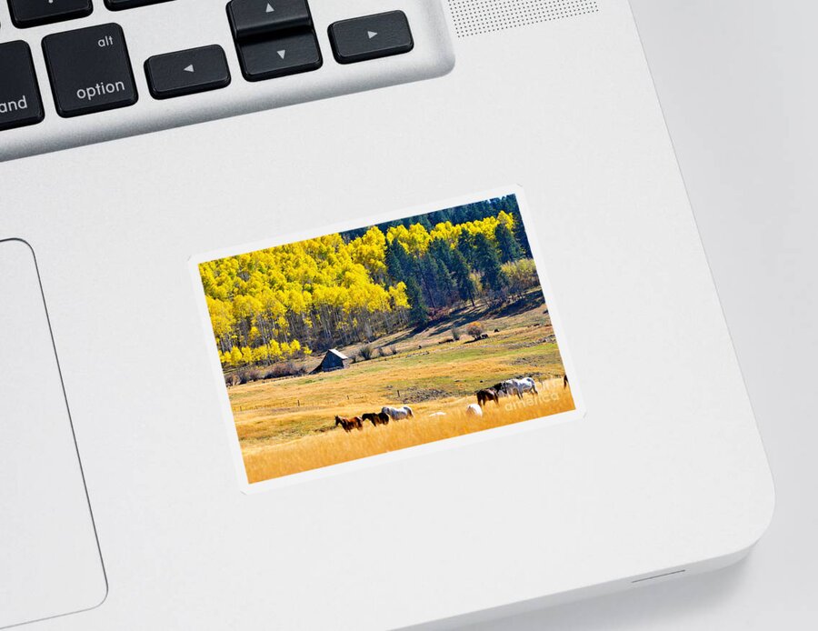 Horses Sticker featuring the photograph Autumn In Pagosa by Johanne Peale
