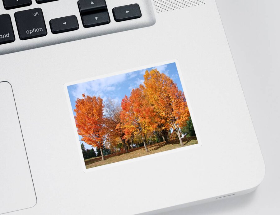 Autumn Sticker featuring the photograph Autumn Leaves by Athena Mckinzie