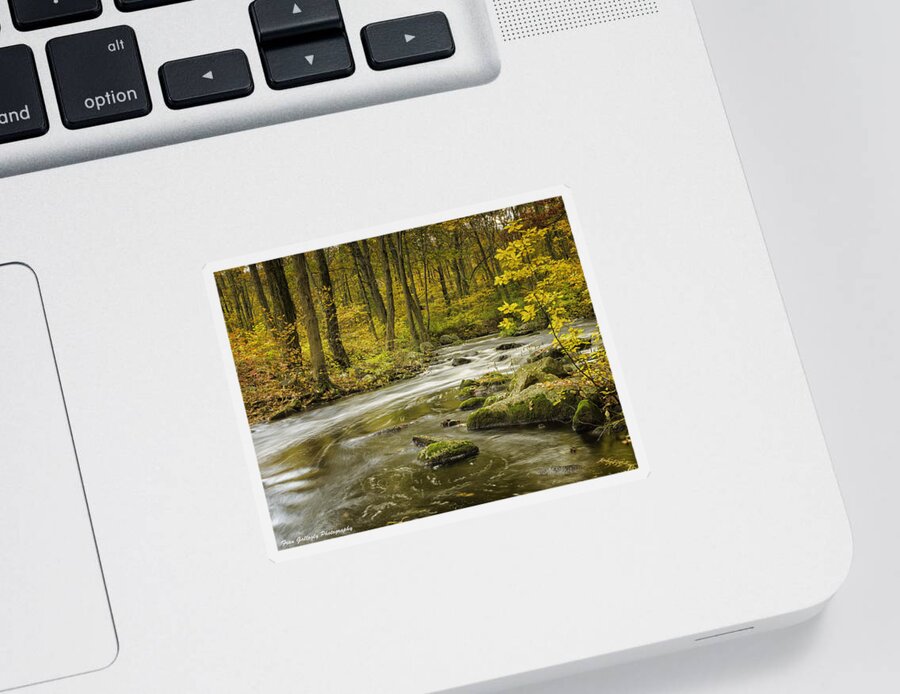 Landscape Sticker featuring the photograph Babbling Brook by Fran Gallogly