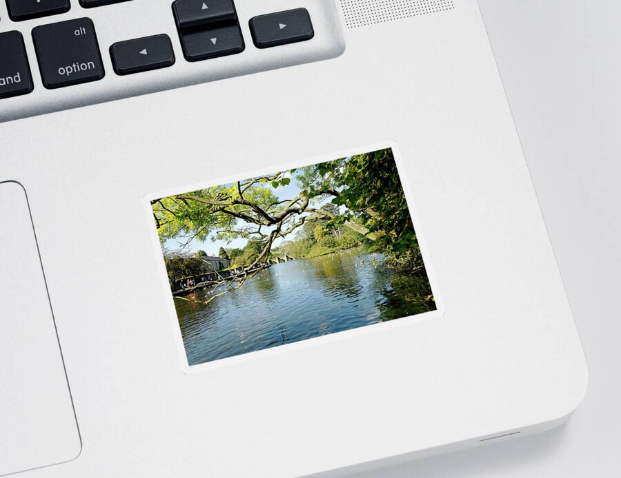 Bakewell Sticker featuring the photograph Bakewell Riverside - Through The Branches by Rod Johnson