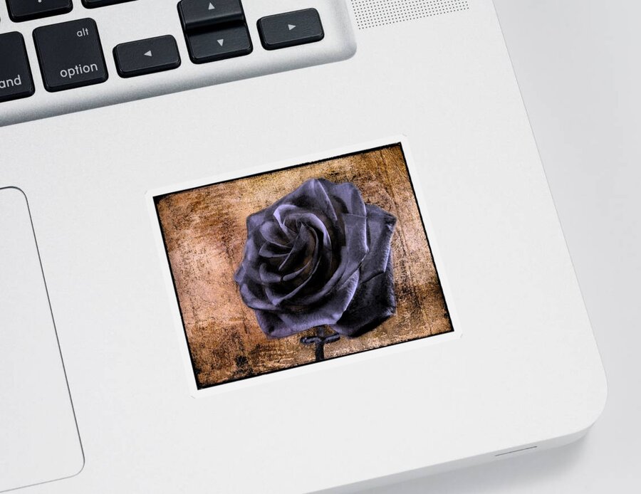 Rose Sticker featuring the photograph Black Rose Eternal  by David Dehner
