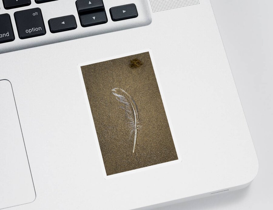 Coast Sticker featuring the photograph Buried Feather by Jean Noren