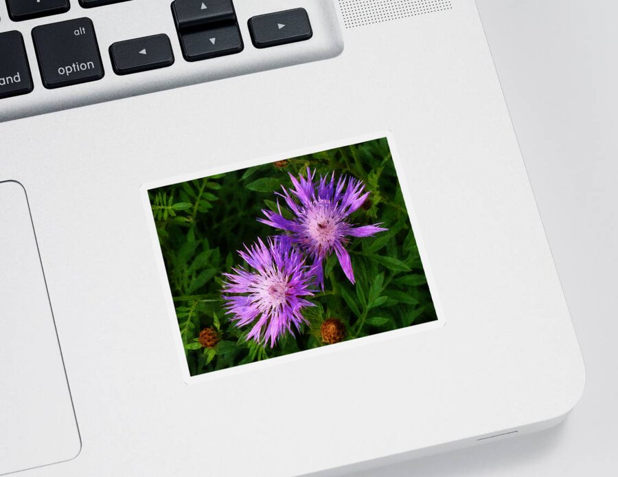 Flower Sticker featuring the photograph Can flowers say Boo by Steve Taylor
