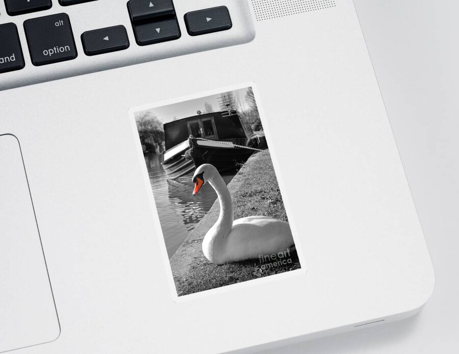  Yhun Suarez Sticker featuring the photograph Canal Swan by Yhun Suarez